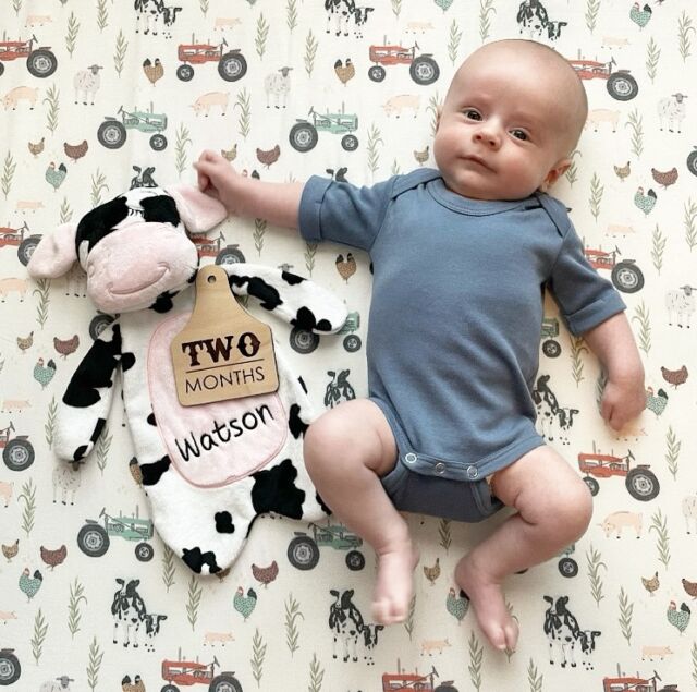 Moo!🐮. Such a darling picture of this cutie and his cow lovey. 

#babygiftidea #babycowboy #personalizedgifts #babylovey #farmbaby #cowlovey