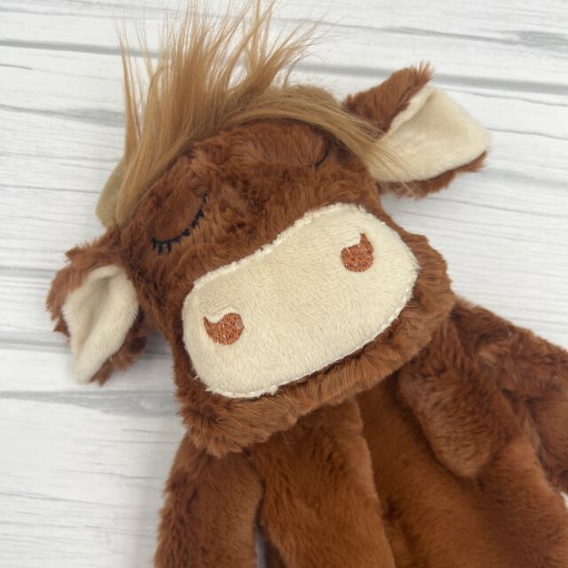 Highland cow loveys are the most popular lovey style from November and December. Do you think the trend will continue for January? 

They are just so cute. 🥰 

#highlandcowgifts #babygifts #babycowboys #personalizedgifts #babylovey #highlandplush